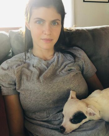 🔥 Alexandra daddario  page leaked private photo uncensored full