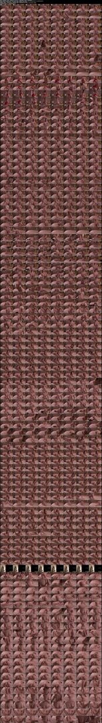 🔥 Alissa wxw page leaked private photo uncensored full