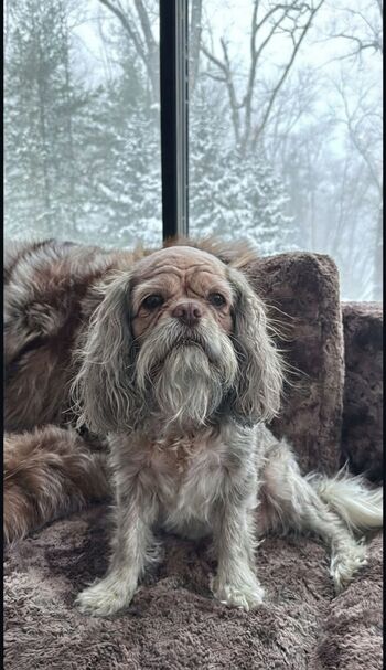 🔥 Ashley tervort  page leaked private photo uncensored full