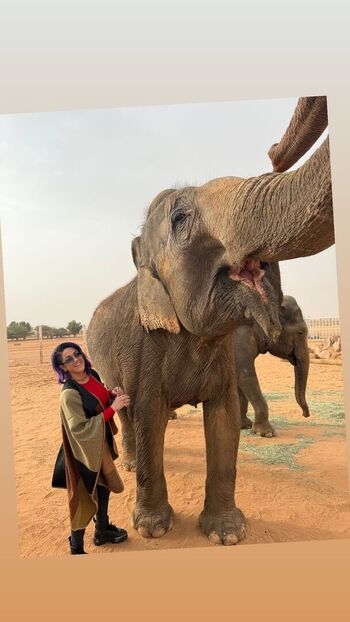 🔥 Bayley page leaked private photo uncensored full