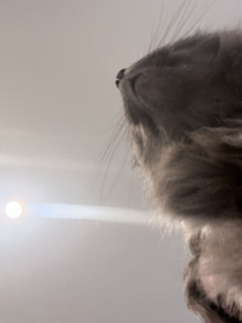 🔥 Duckie cos  page leaked private photo uncensored full