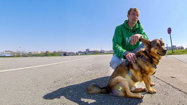 🔥 Hartz rot gold leaked private photo uncensored full