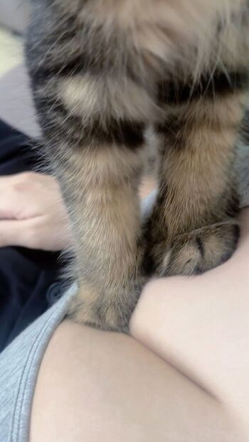 🔥 Maipei page leaked private photo uncensored full