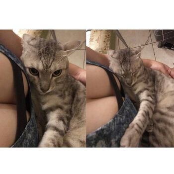 🔥 Maipei page leaked private photo uncensored full