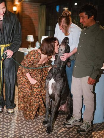 🔥 Millie bobby brown page leaked private photo uncensored full