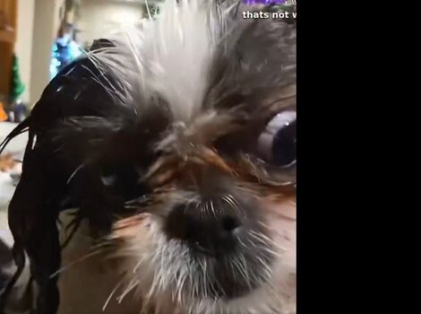 🔥 Sakura shymko page leaked private photo uncensored full