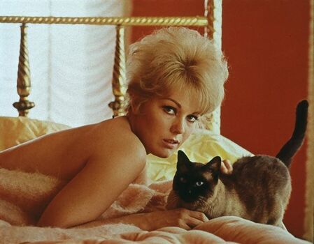 🔥 Vintage starlets page leaked private photo uncensored full