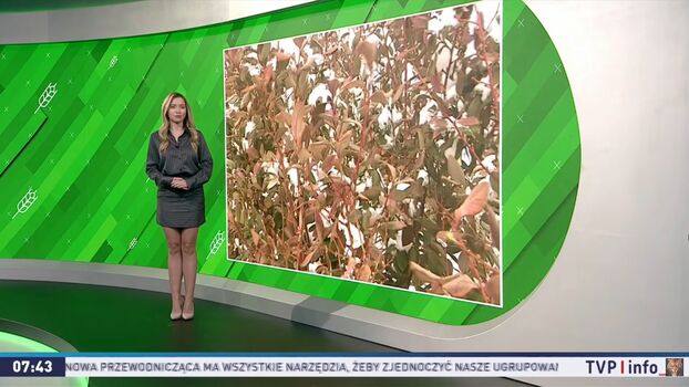 🔥 Weather ladies  page leaked private photo uncensored full